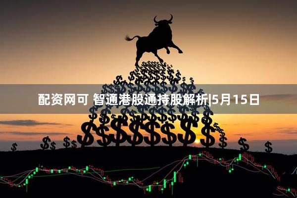 配资网可 智通港股通持股解析|5月15日